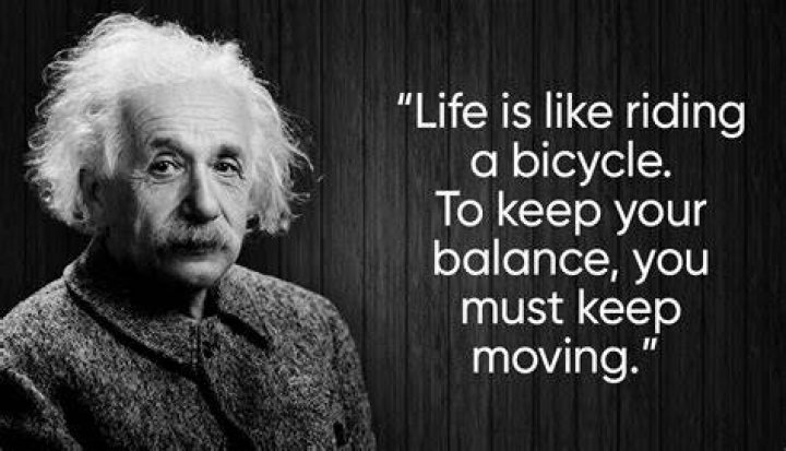 What did Einstein say about bees?
