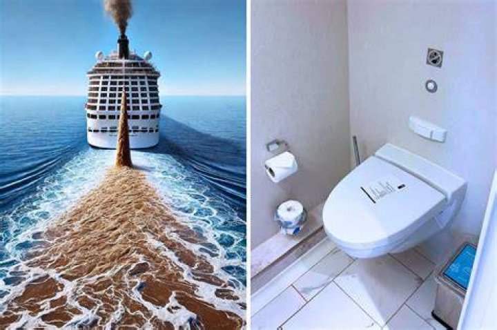 What do cruise ships do with toilet water?