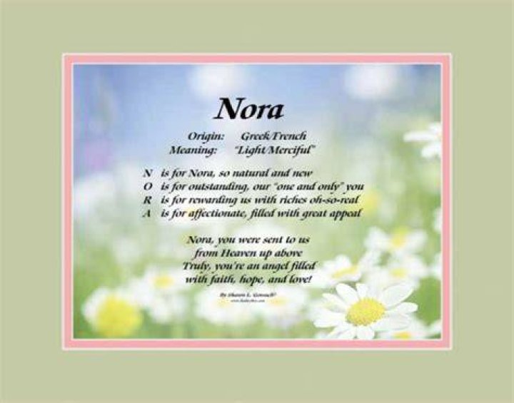 What does Nora mean in French?