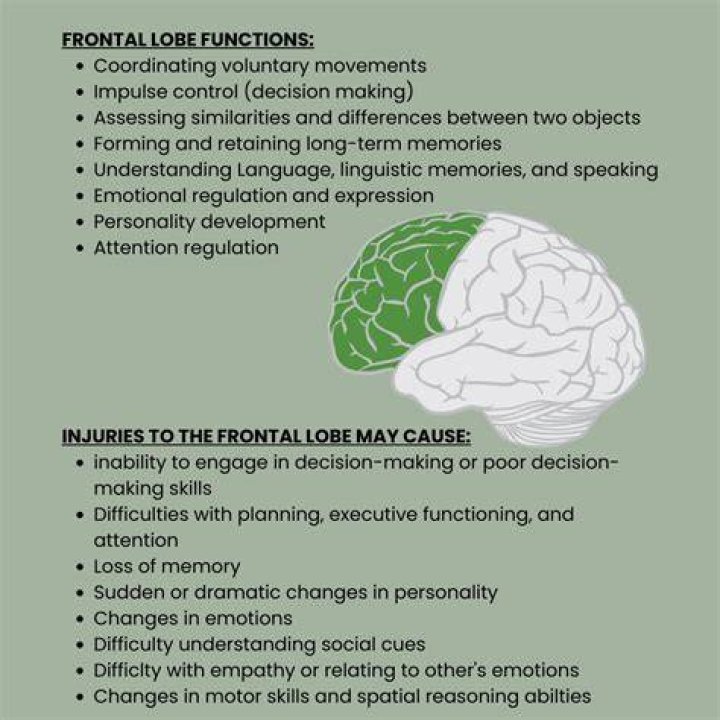 What emotions are impacted by the frontal lobe?