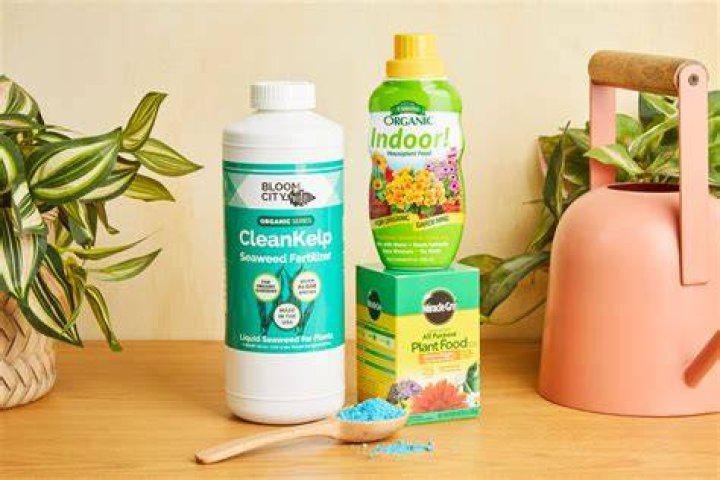 What fertilizer is best for seedlings?