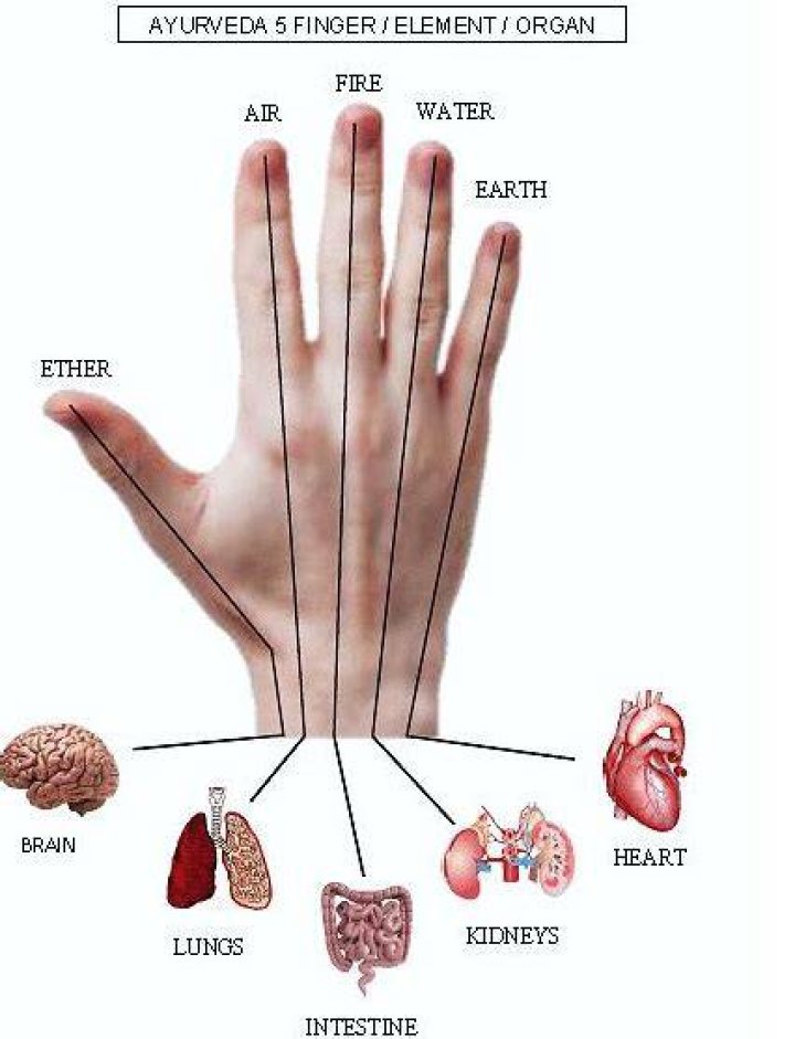 What finger connects to your heart?