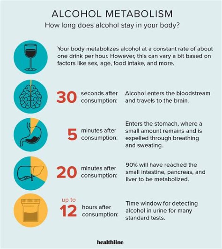 What foods get rid of alcohol in your system?