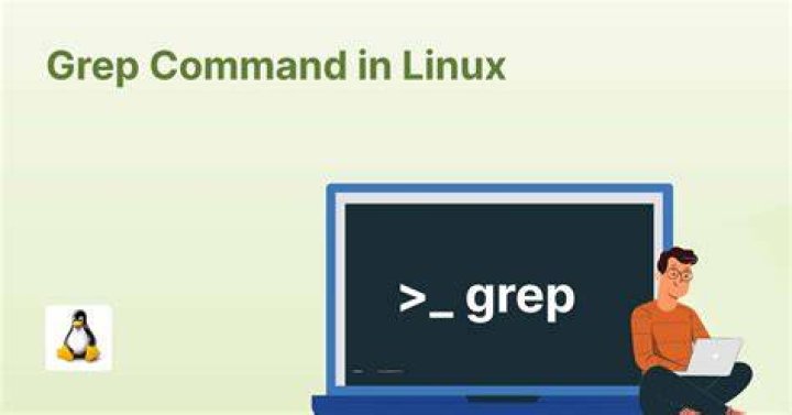 What is Flag in grep?