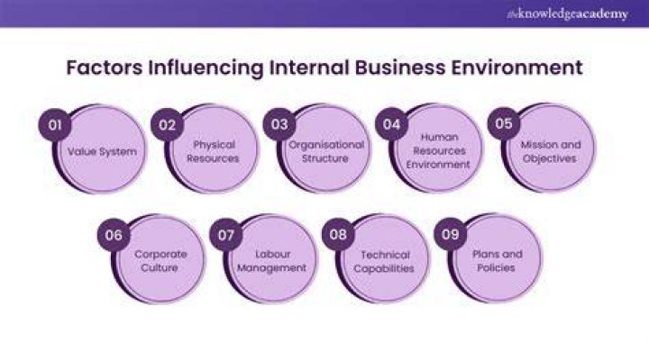 What is internal business environment?