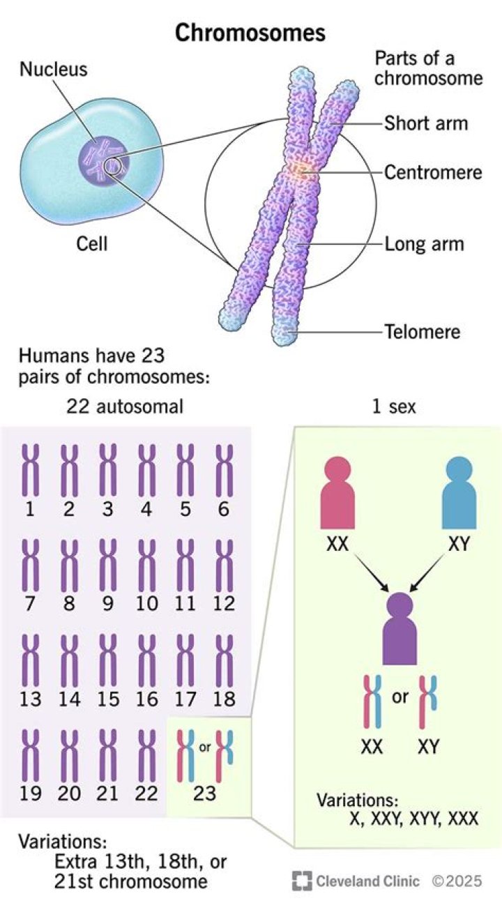 What is it called when the chromosome structure changes?