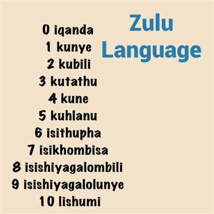 What is Penguin in Zulu?