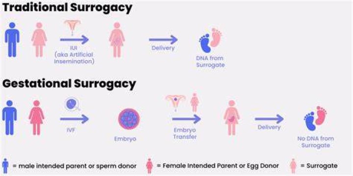What is surrogate baby mean?