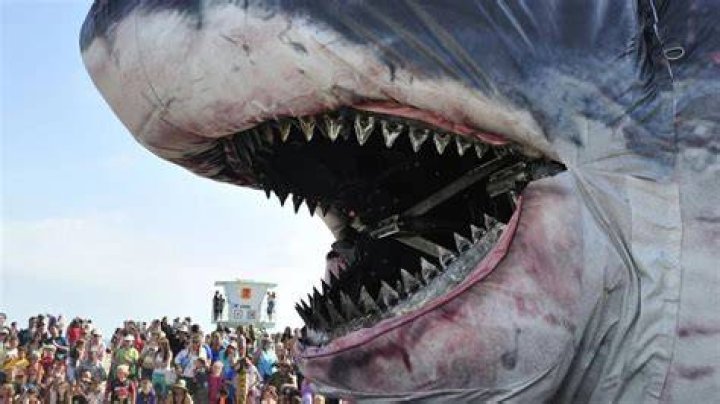 What is the biggest megalodon ever found?