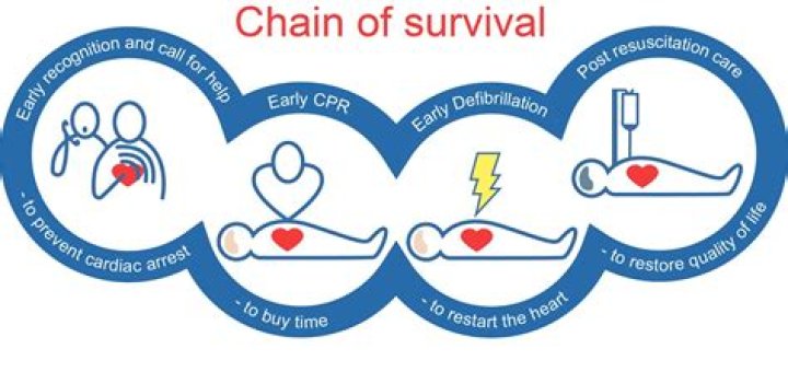 What is the chance of survival after being on a ventilator?