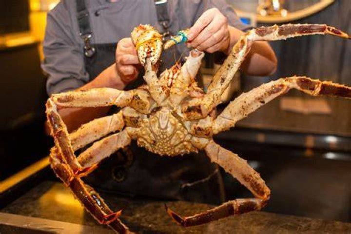 What is the largest crab to eat?