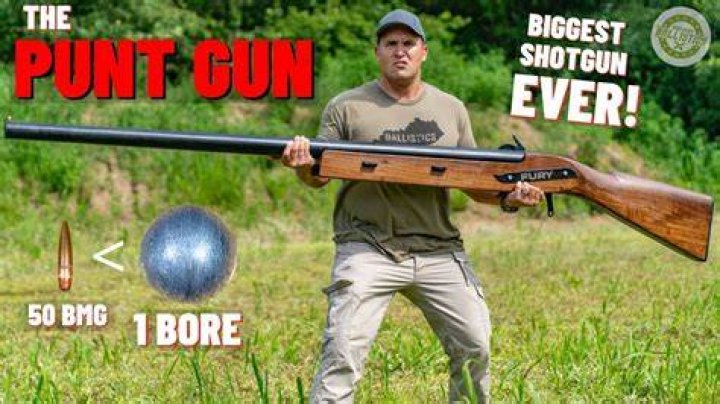 What is the most popular shotgun in the world?