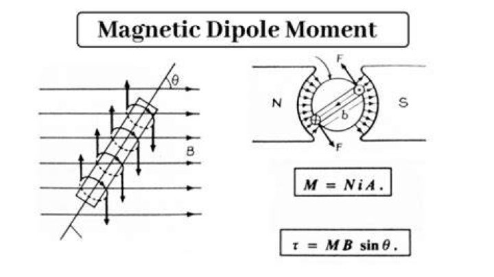 What is the value of magnetic moment?