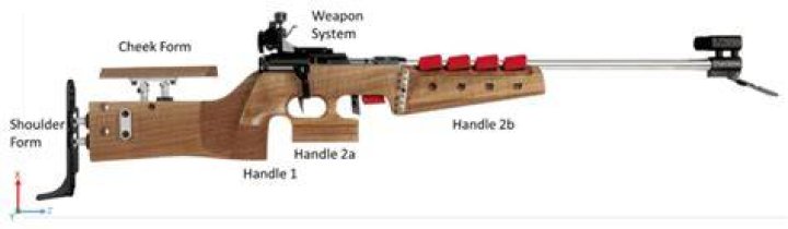 What kind of gun is used in the biathlon?