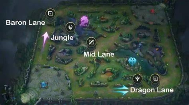 What Lane is Lillia?