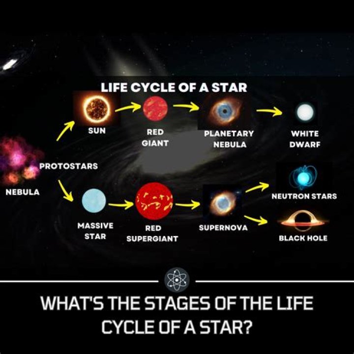 What level star Rabia evolve?