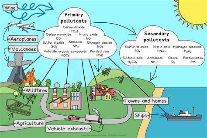 What pollutant means?