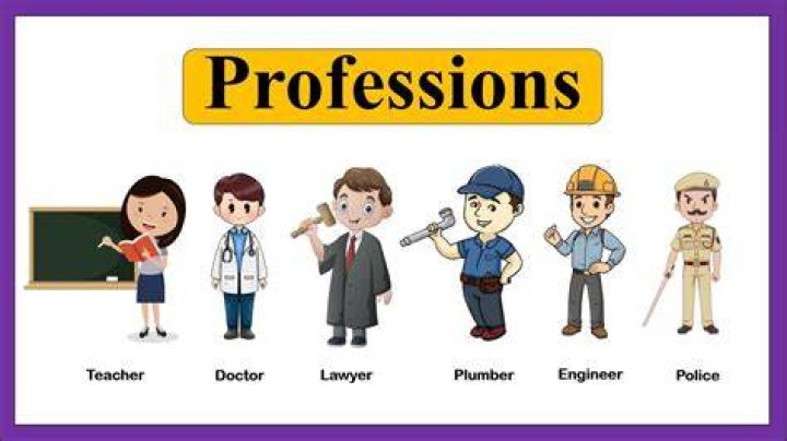 What profession has the most schooling?