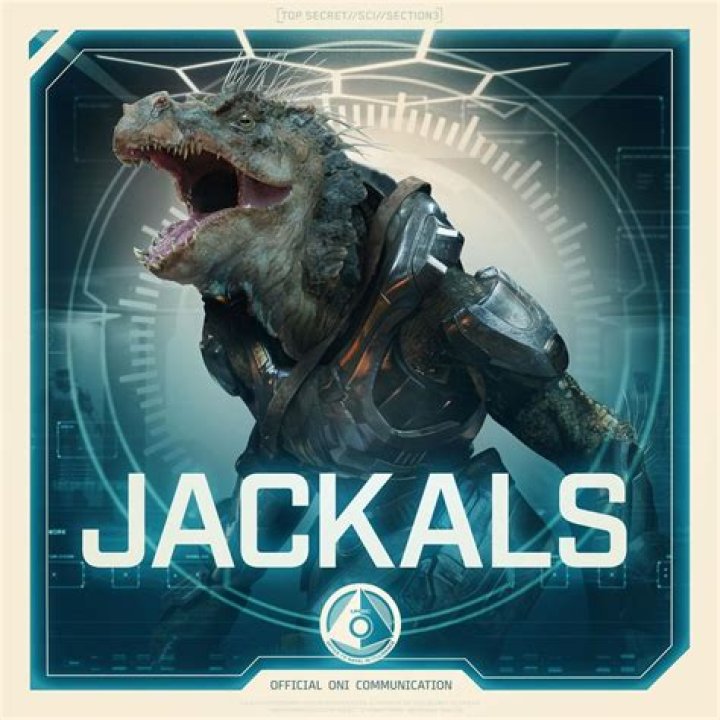 What species are jackals Halo?