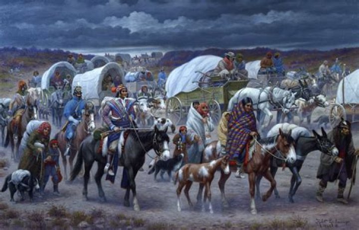 What tribe was removed from their land during the Trail of Tears?