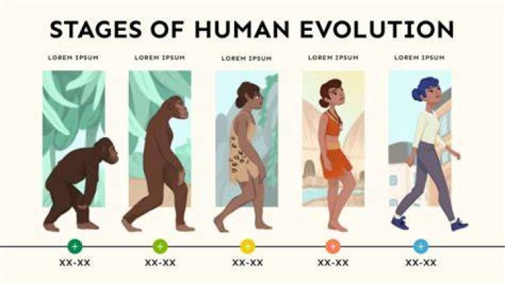 When did humans first count time?