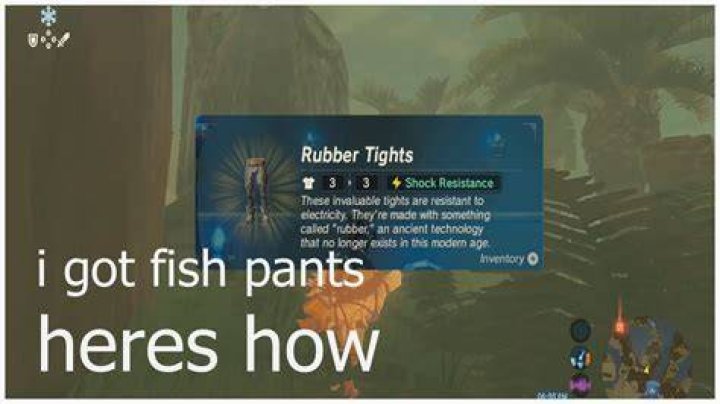 Where are the rubber pants in Botw?