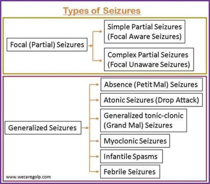 Which is the most common seizure experienced by the elderly?