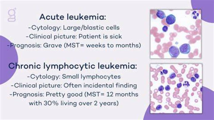Which is worse acute or chronic leukemia?