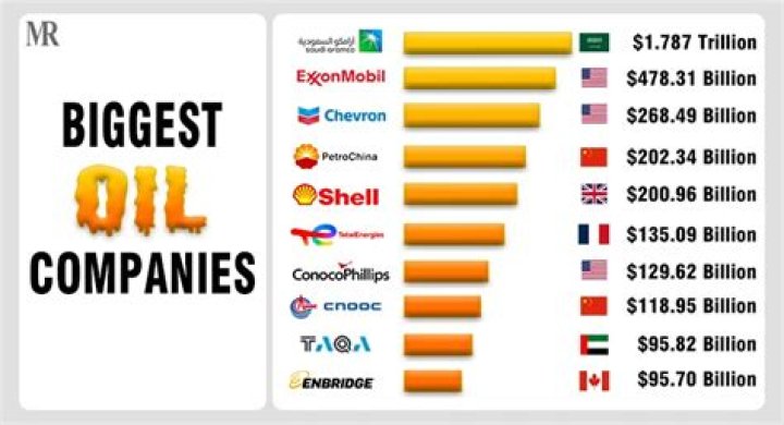 Who owns most of the oil in the world?