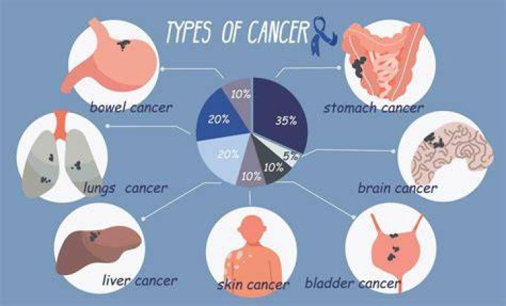 Why are cancers called cancers?