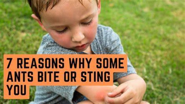 Why do incisions sting?