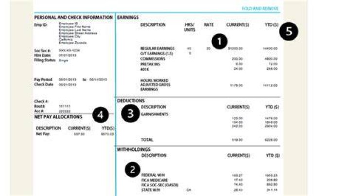 Why does a regular paycheck helps your credit score?
