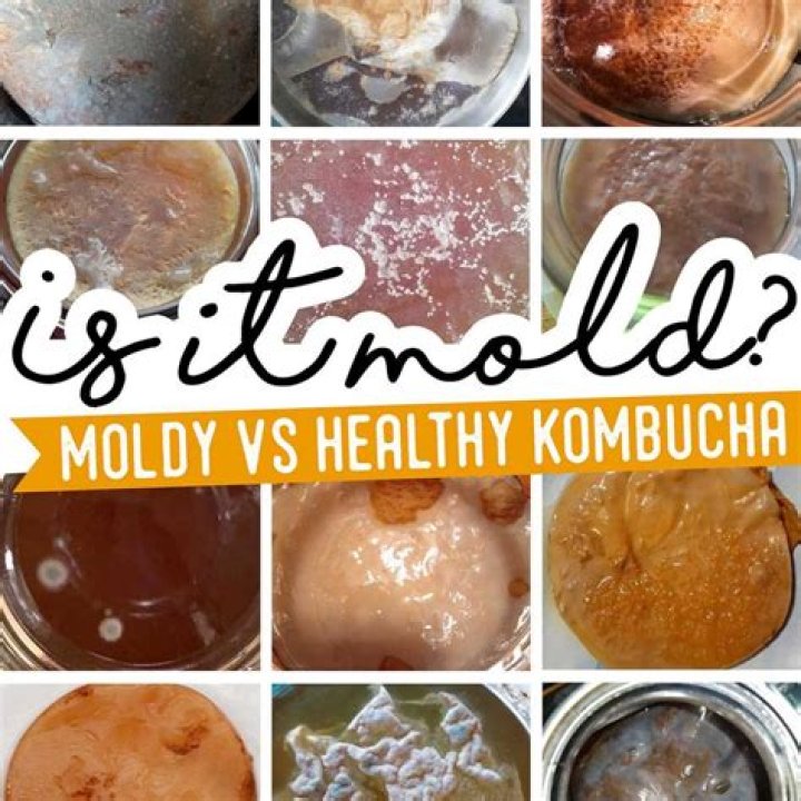 Why does kombucha cause death?