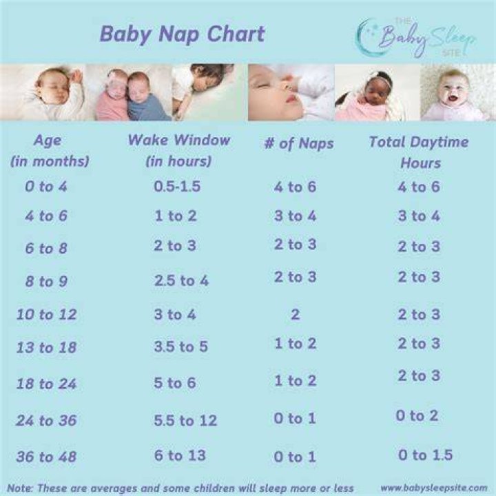 Why does my 3 month old only take 30 minute naps?