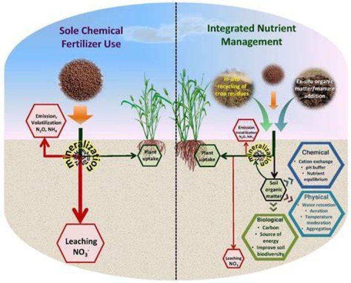Why does so much fertilizer come from Russia?