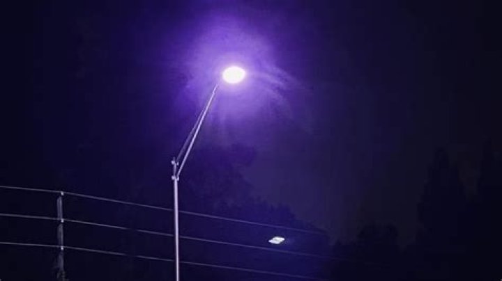 Why does Tampa have blue street lights?