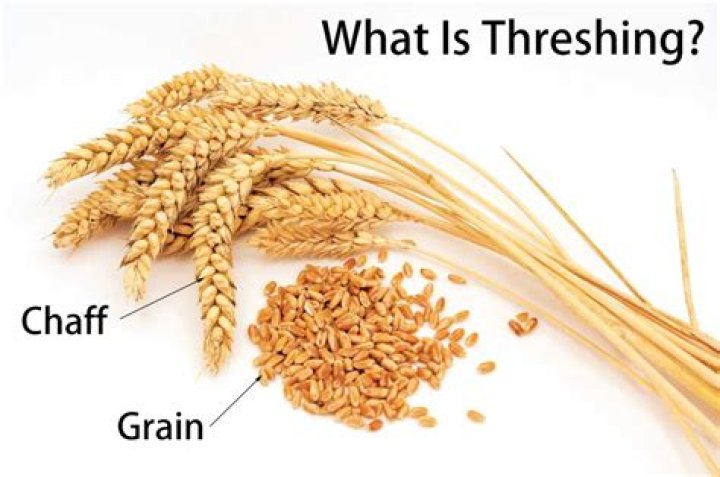 Why is threshing important?