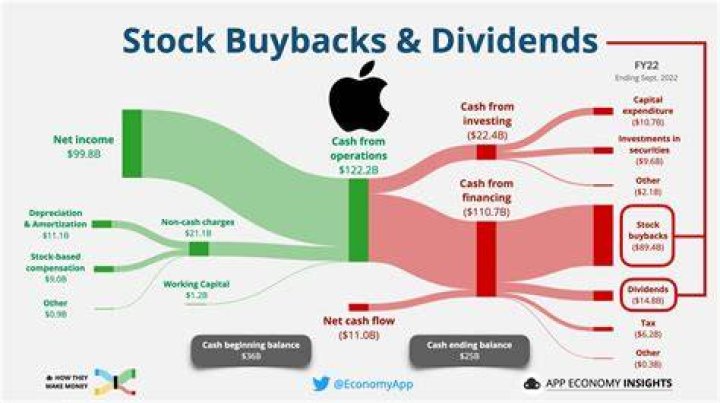 Why you should not buy dividend stocks?