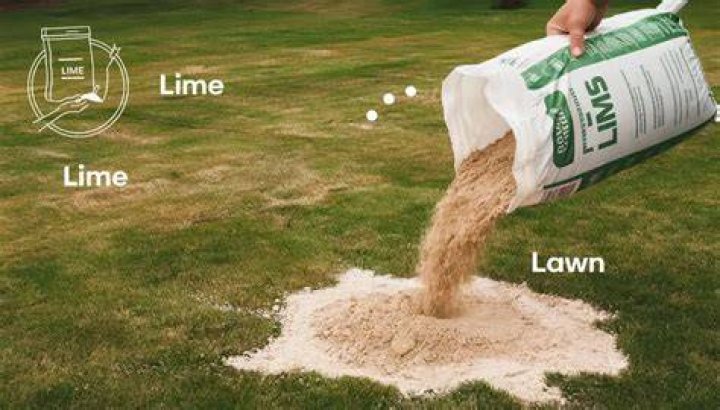 Will lime dry out soil?